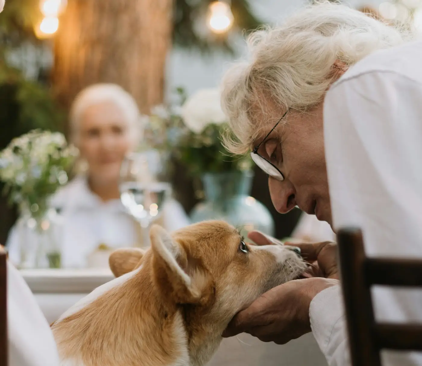 Why Allowing Pets Could Be the Smartest Decision You Make as a San Jose Landlord